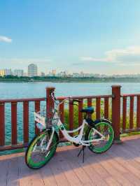 자전거 타기 딱 좋은 서울 한강 라이딩 코스 🚴‍♂️🌿