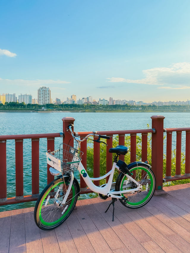 자전거 타기 딱 좋은 서울 한강 라이딩 코스 🚴‍♂️🌿