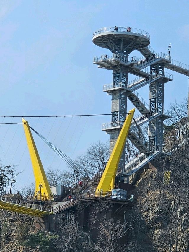 👉👉원주 소금산 출렁다리 케이블카