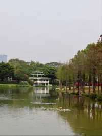 Shenzhen Central Park– The City’s Green Lung