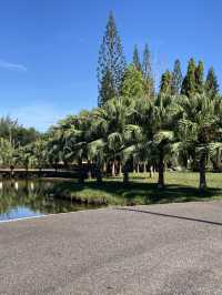 The Crafted Lake at Pattani Park