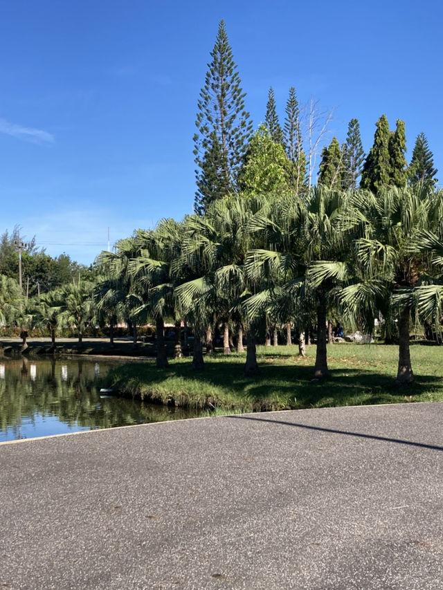 The Crafted Lake at Pattani Park