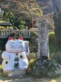Cat Lover’s Paradise: Spring at Ōmatsu Daigongen