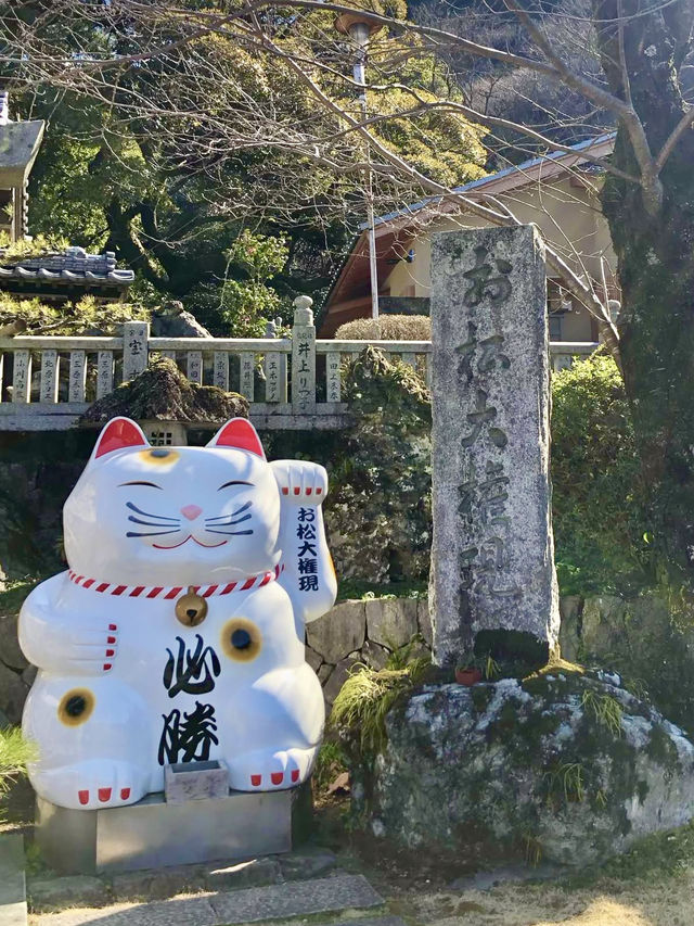 Cat Lover’s Paradise: Spring at Ōmatsu Daigongen
