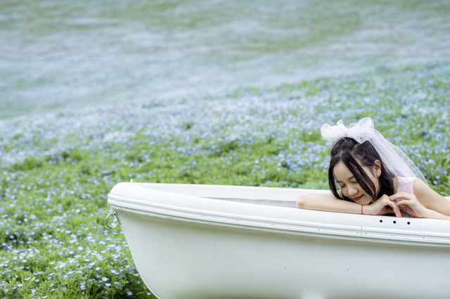 Experience with Nemophila and Double Cherry Blossoms at Showakinen Park, Tachikawa