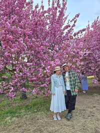 강력추천하는 4월의 경주여행코스🌸
