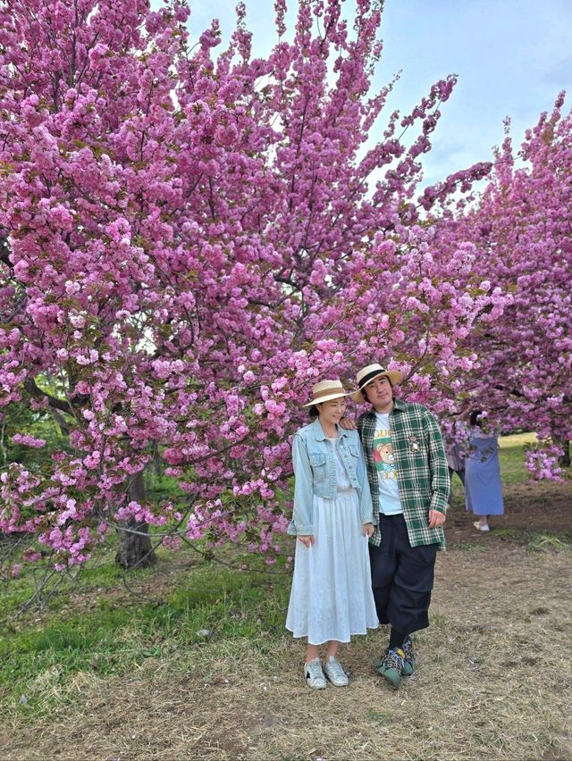 강력추천하는 4월의 경주여행코스🌸