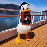 A Magical Voyage on the Disney Cruise🚢✨
