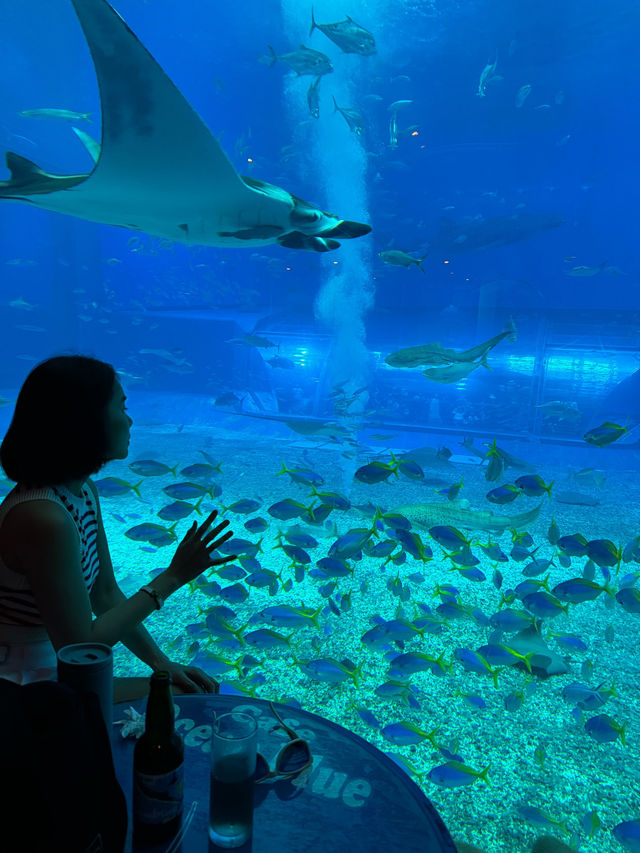  Okinawa Churaumi Aquarium 
