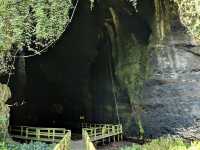 Gomantong Caves – The Wild, Otherworldly Heart of Sabah