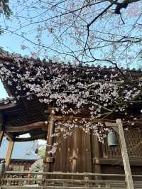 去東京別錯過 成田寺！