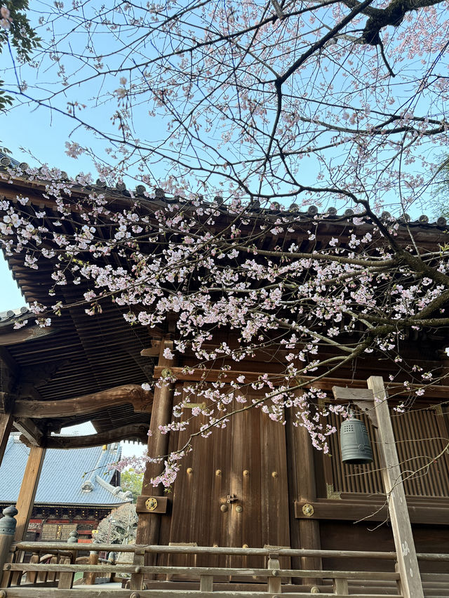 去東京別錯過 成田寺！