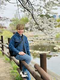 Perfect Spot for a Peaceful Walk or Rest within the City.