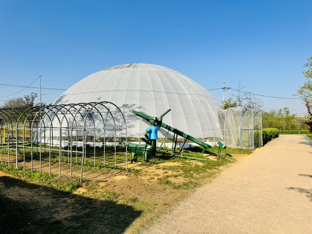 Play, Pets & Plants—Pyeongtaek Fun!
