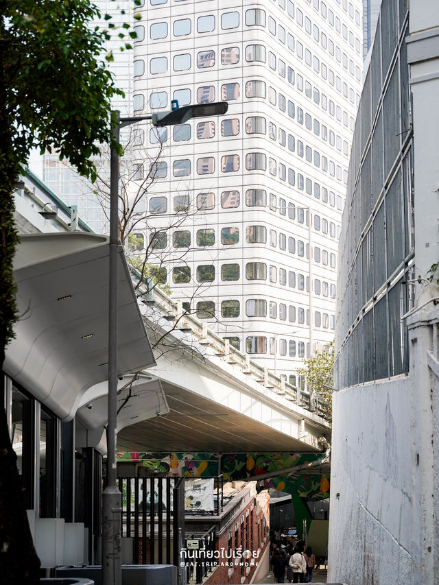 นั่ง Peak Tramways ชมวิวเกาะฮ่องกง