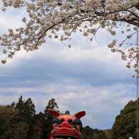 Hitachi Fudoki-no-Oka, Ibaraki