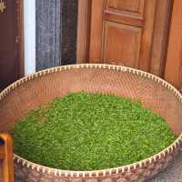 ไร่ชาหลงจิ้ง หางโจว 龙井村 / Longjing