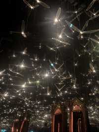 Living the Harry Potter Dream: A Vision of Magic