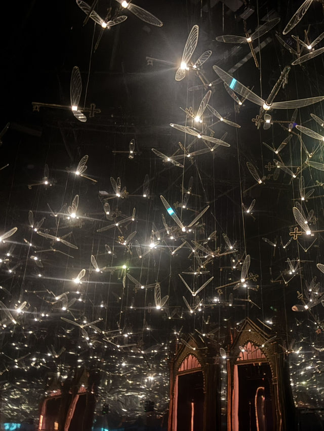 Living the Harry Potter Dream: A Vision of Magic