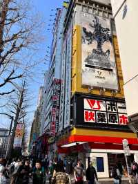 Share My Tokyo Cherry Blossom Citywalk Route 🌸