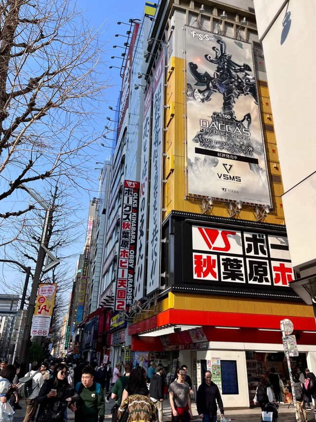 Share My Tokyo Cherry Blossom Citywalk Route 🌸