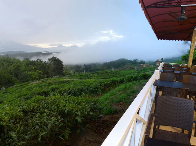 🌿✨ "Sabah Tea Resort: A Misty, Magical Escape in Borneo’s Tea Paradise!" ✨🌿  
