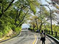 Namsan Vibes: Hike, Snap, Explore!