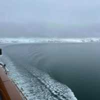 Alaskan Dreams Afloat: My Voyage on Norwegian Encore