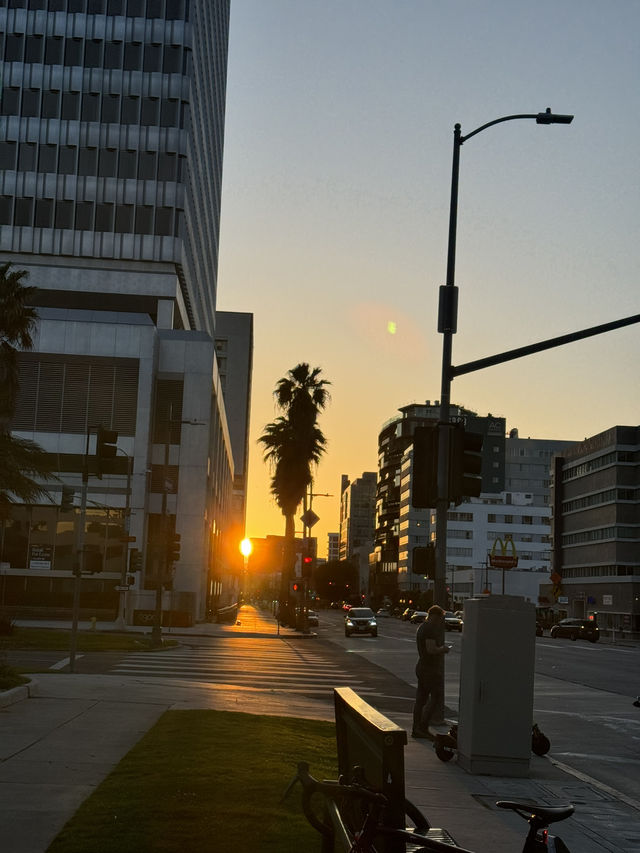 🌅 LA 선셋 명소, 석양의 낭만을 잡다! #LA여행