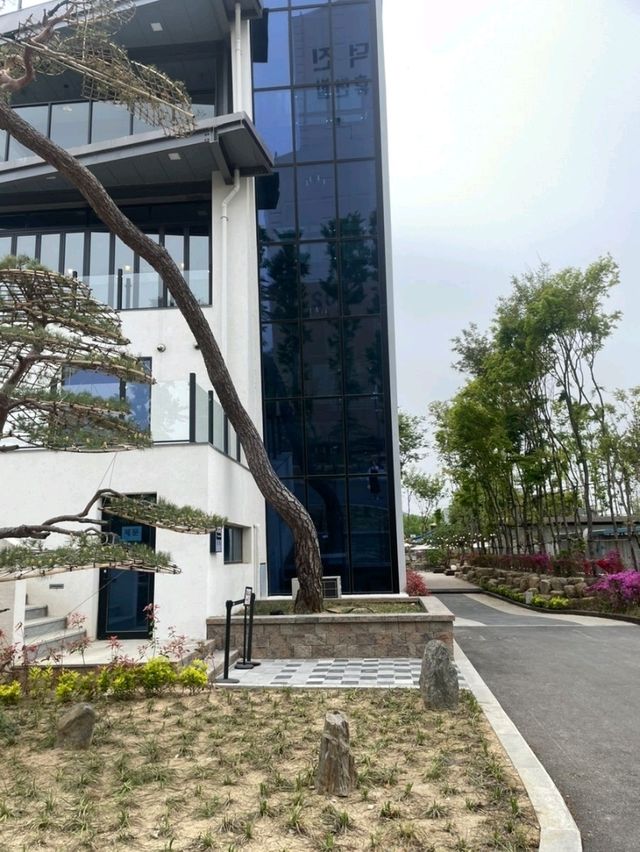 [🇰🇷チャンニョン] 菜の花とアートに包まれる、フォトスポット満載の「ナンマミュージアムカフェ」