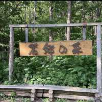 麓郷の森