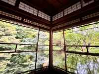 🇯🇵【京都】特別拝観期間だけ拝観できる！瑠璃光院！