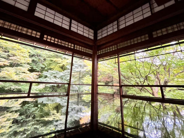 🇯🇵【京都】特別拝観期間だけ拝観できる！瑠璃光院！