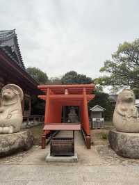 【屋島秘境探險】古寺×廢墟×絕美夕陽一次收藏！
