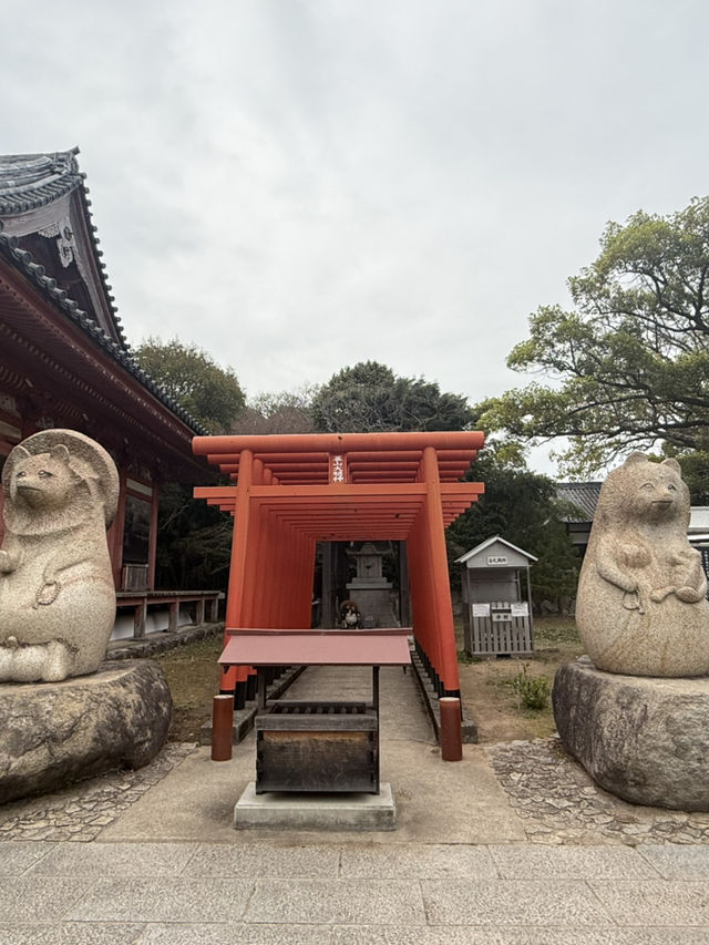 【屋島秘境探險】古寺×廢墟×絕美夕陽一次收藏！