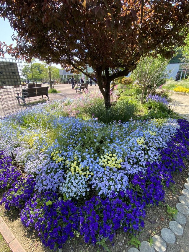 【季節の花を愛でる旅】フラワーパーク