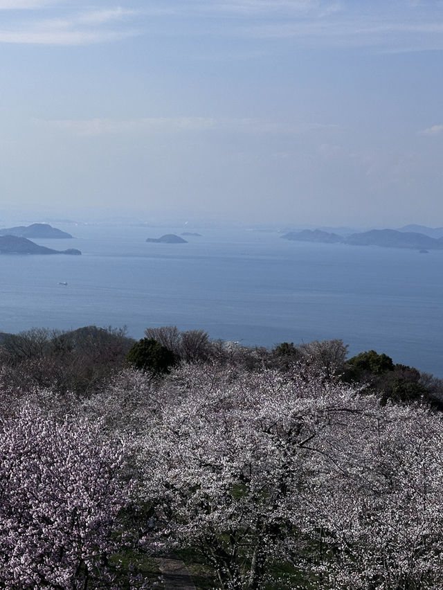 四國高松的絕美景點-紫雲出山