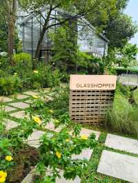 Glasshopper Café: A Fresh Buzz in Putrajaya’s Food Scene!"** 🐝🍽️  