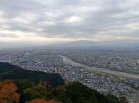 岐阜一日遊