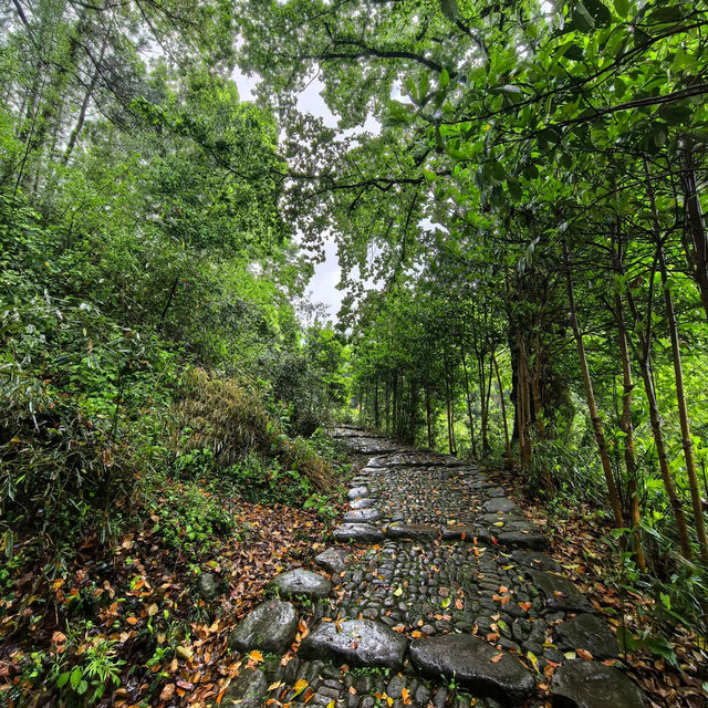 南源嶺村•山神按下暫停的時光