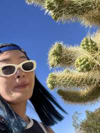 Joshua Tree 國家公園：在沙漠裡的國家公園！
