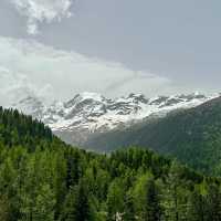 🚂✨ "A Weekend of Alpine Magic from Chur to Tirano