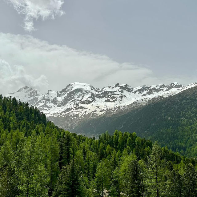 🚂✨ "A Weekend of Alpine Magic from Chur to Tirano