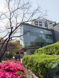 韓國景點🇰🇷寧靜休閑的小公園🌳