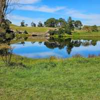 Spring in New Zealand – Nature Awakens in Style