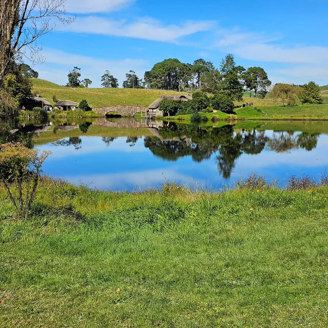 Spring in New Zealand – Nature Awakens in Style