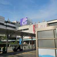 🪷春夏之鄉 - 和歌山市3日遊
