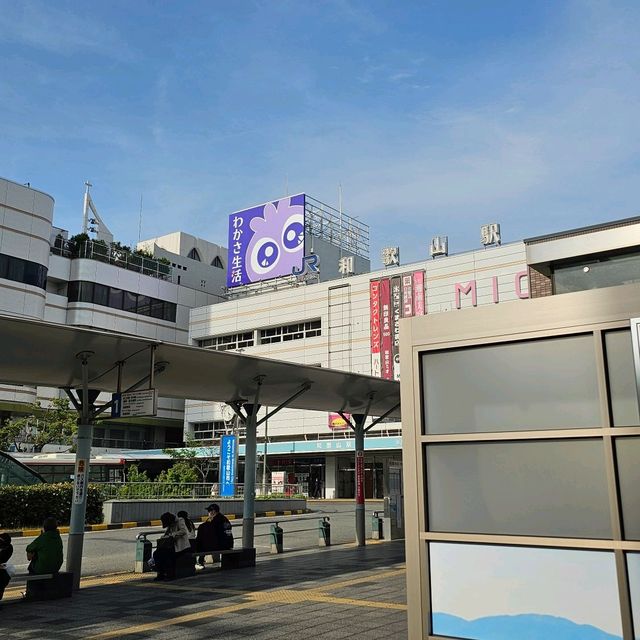 🪷春夏之鄉 - 和歌山市3日遊