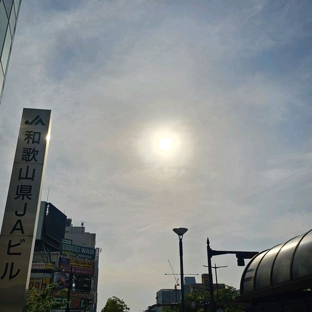 🪷春夏之鄉 - 和歌山市3日遊