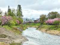 How to Get from Tokyo to Hakuba